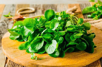 6 Lợi ích của cải xoong đối với sức khỏe của trẻ