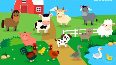 Mạng chủ đề "Thế giới động vật" - Khối Mầm