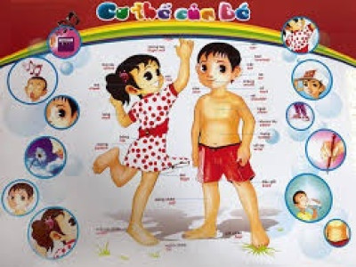 Cơ thể của bé