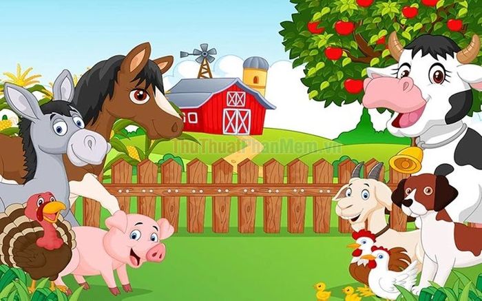 Các con vật đáng yêu